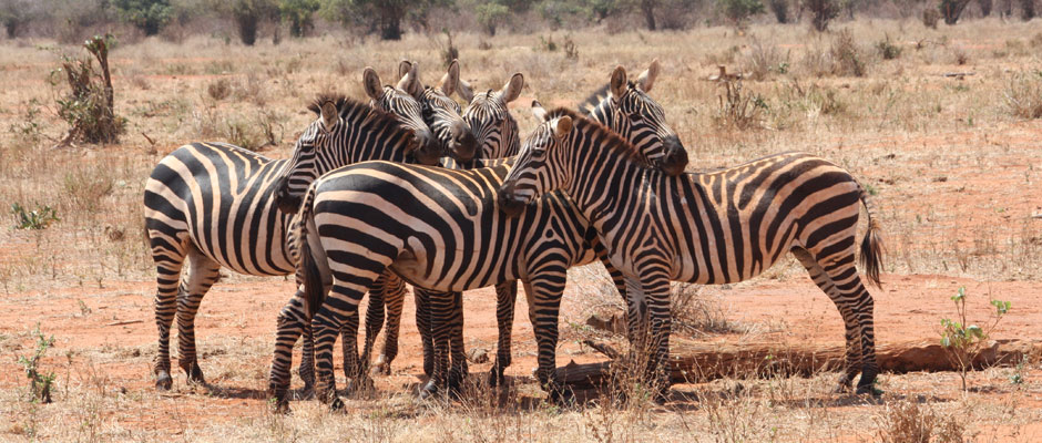 Brigitte Luy – Spirituelles, alltagstaugliches Erfolgscoaching / Heilenergie-Übertragung